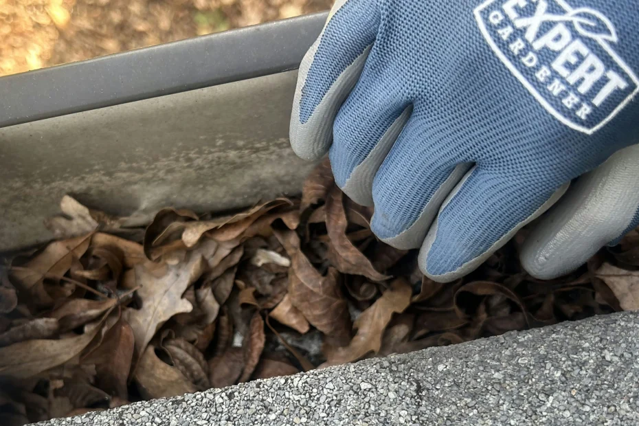 Gutter Cleaning Plaquemine