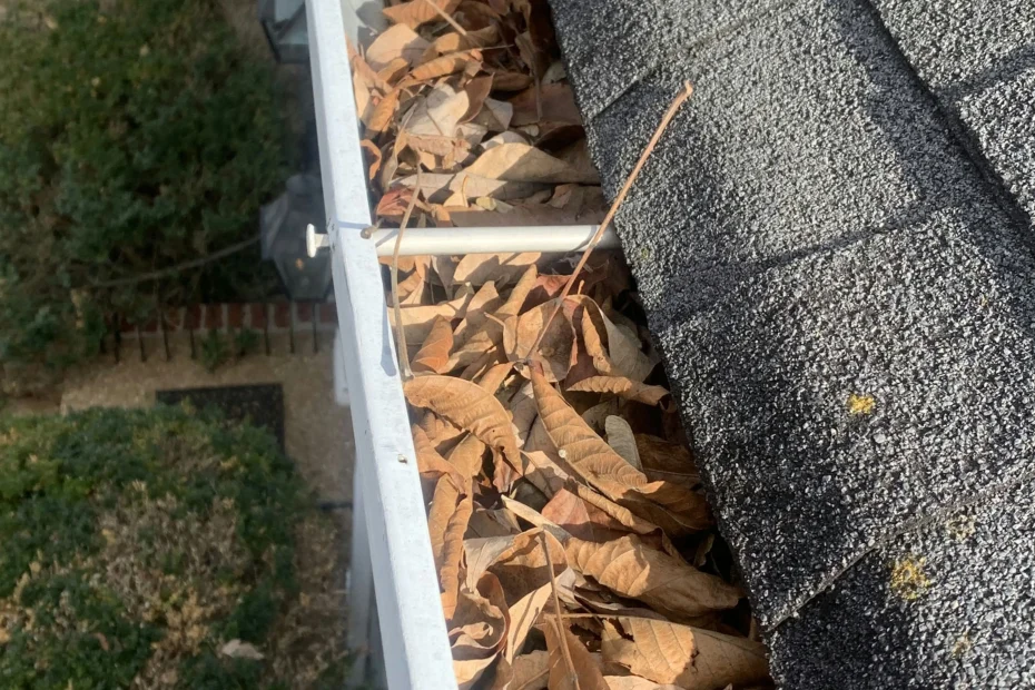 Gutter Cleaning Plaquemine