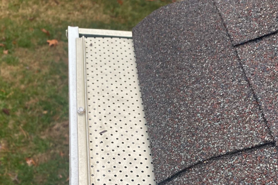 Gutter Cleaning Plaquemine